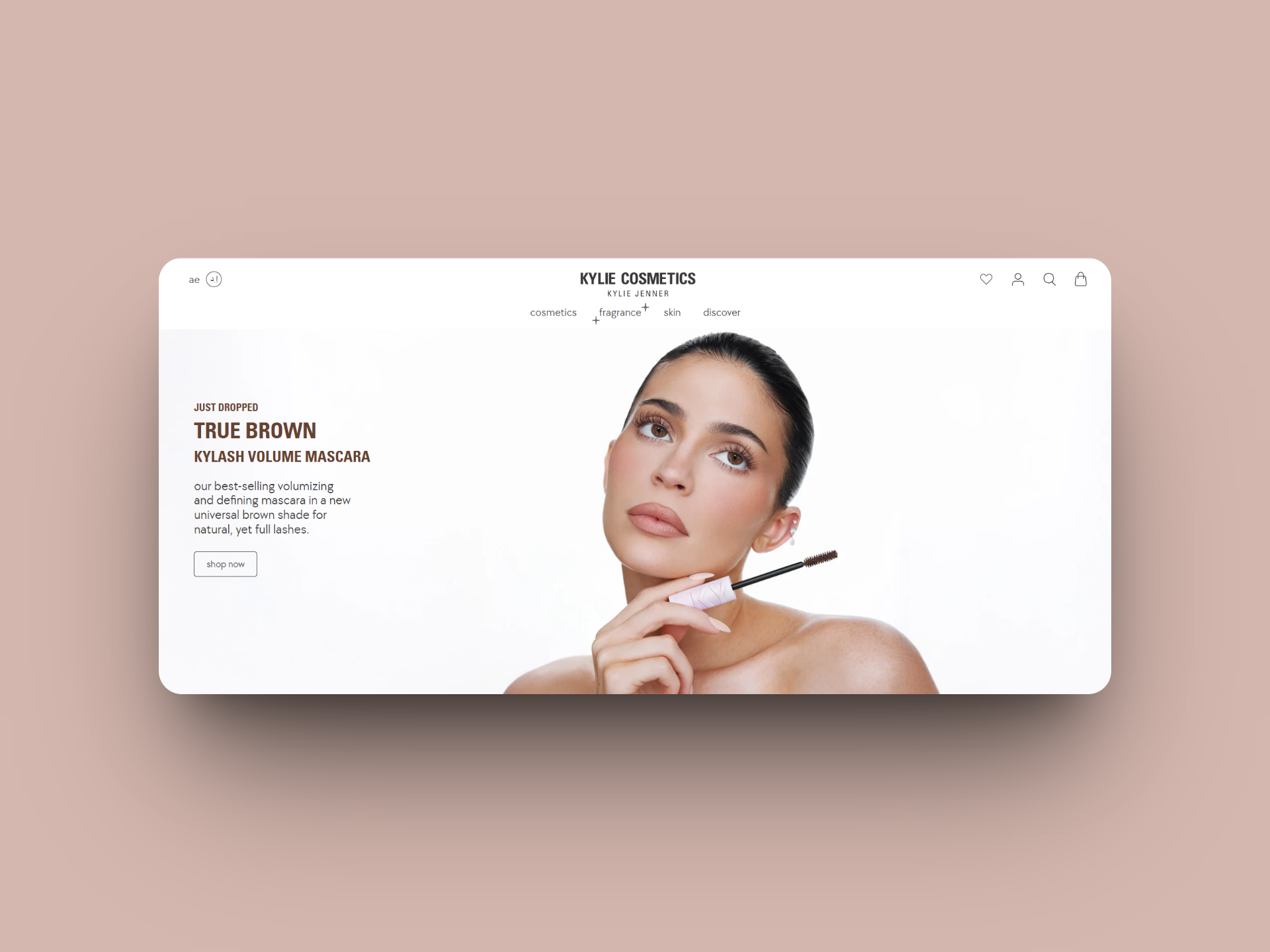 Shopify Plus Development Company, Shopify Plus Development Company Dubai, Shopify Plus Development Agency Dubai, Shopify Plus Development Company in UAE, Shopify Plus Agency in Sharjah.